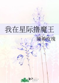 我在星际撸魔王
